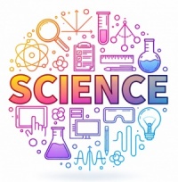 Base científica sólida