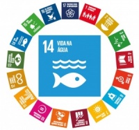  Impacto & Sustentabilidade