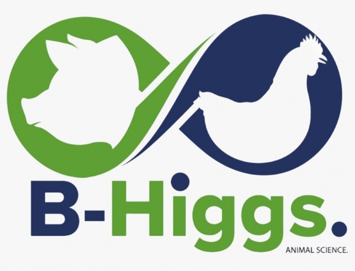 B-Higgs.