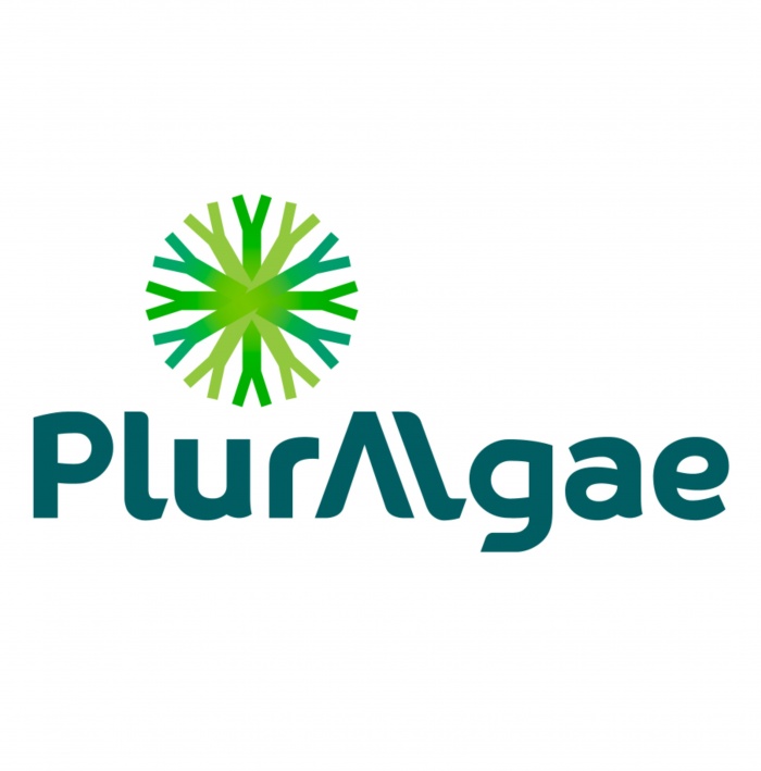 Pluralgae