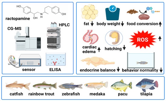 biomolecules-12-01342-g001-550-m10_u48_18092023203658_baixa