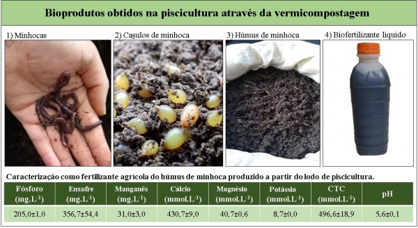 figura-vermicompostagem-m10_u48_18092023204830_baixa